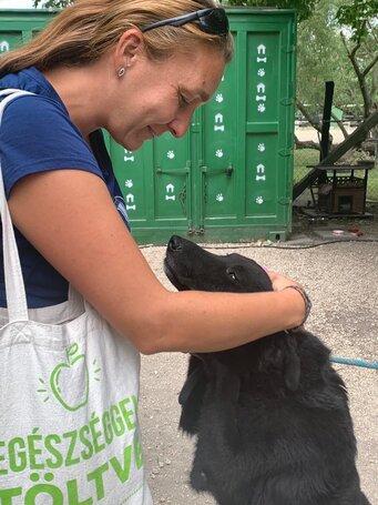 Ábel, 4 éves, 55 cm magas, kan