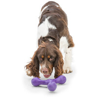 West Paw Skamp - Apport kutyajáték #2