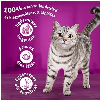 Whiskas Sterile szárazeledel ivartalanított macskáknak #5