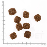 Belcando Adult Active #4