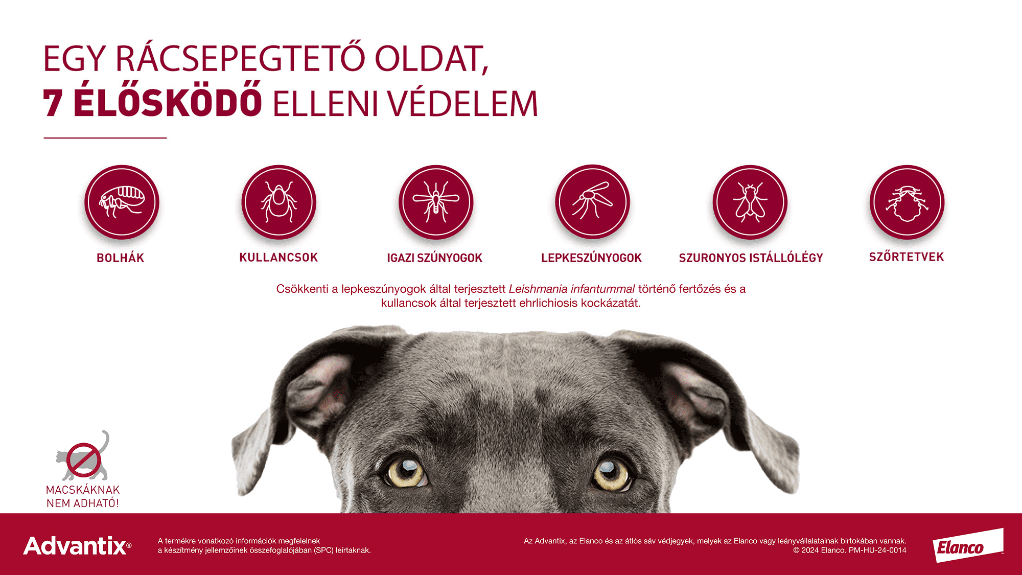 Advantix Spot On kutyáknak