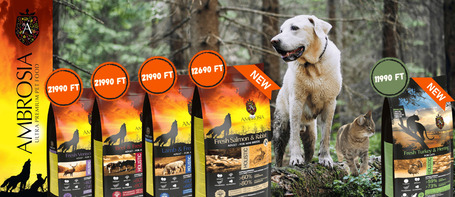 Ambrosia kutyatáp hírek📰 Új ízek, régi lelkesedés - Két izgalmas újdonsággal is jelentkezünk