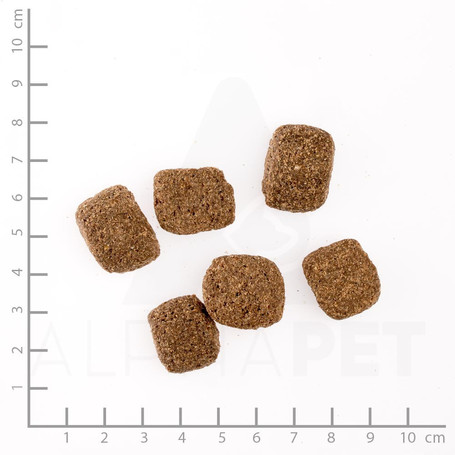 Belcando Junior Maxi | Prémium német táp nagytestű növendék kutyáknak