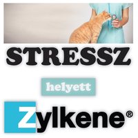 Zylkéne stresszoldó kapszula macskáknak és kistestű kutyákna #5