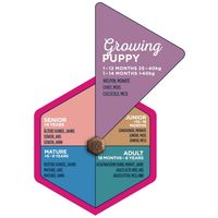 Eukanuba Puppy Large 18 kg #9