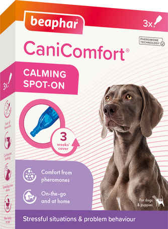 Beaphar CaniComfort feromonos spot on kutyák számára