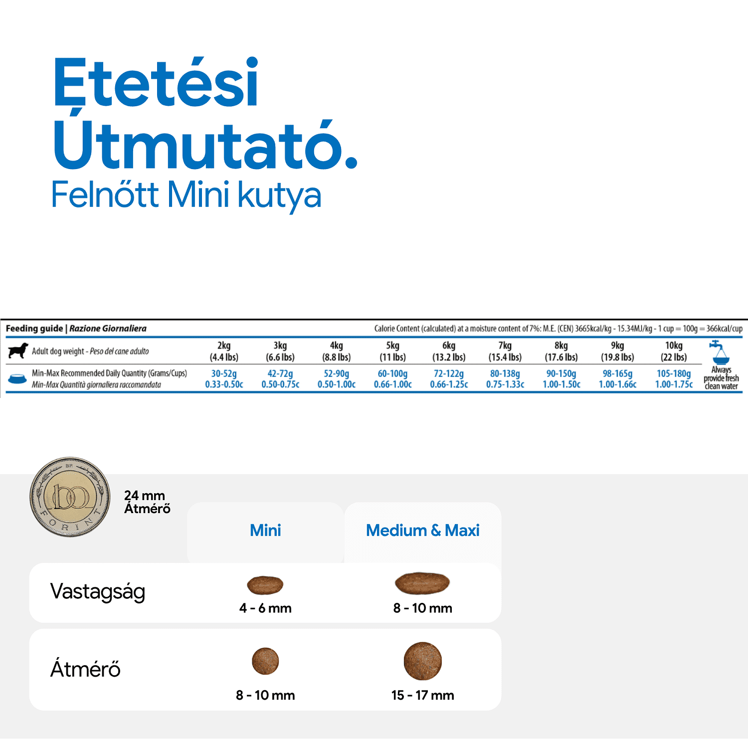 N&D Dog Grain Free Quinoa Skin & Coat Herring – Bőr- és szőrproblémákra | Szuperprémium kutyaeledel