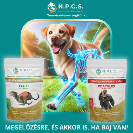 N.P.C.S. Flexi - Csont, Porc, Ízület, Izom