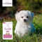 Flatazor Pure Life Puppy hipoallergén táp, lazaccal és fehér hallal | Kölyökkutyáknak