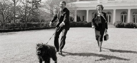 Miért jó, ha sétálok a kutyámmal?