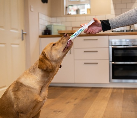 Protexin Pro-Kolin+ paszta