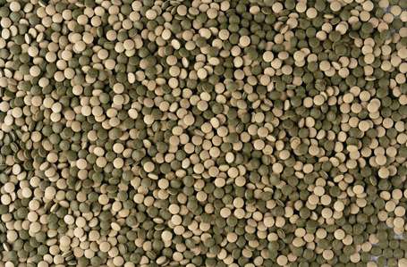 Tetra Pleco Tablets díszhal táptabletta növényevőknek