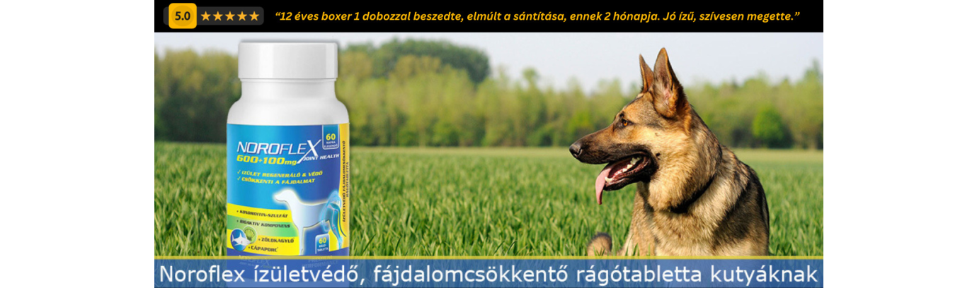 Noroflex ízületvédő