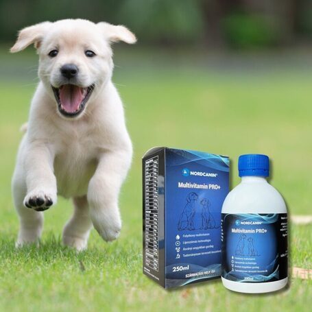 Nordcanin Multivitamin Pro+