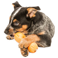 West Paw Qwizl - Jutalomfalattal tölthető rágóka #9