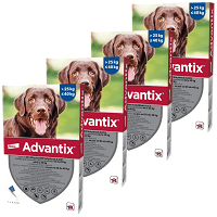 Advantix Spot On kutyáknak #16