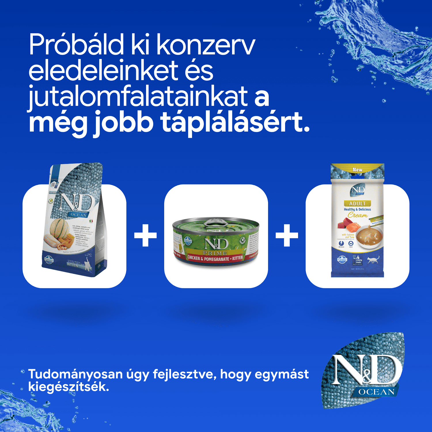 N&D Cat Ocean Kitten sütőtök, tőkehal, garnéla & sárgadinnye