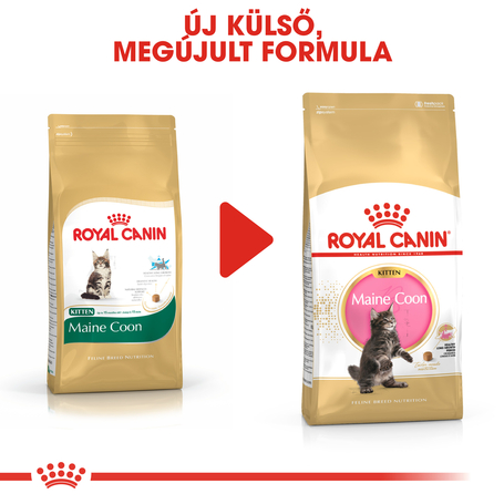 Royal Canin Maine Coon Kitten - Maine Coon kölyök macska száraz táp