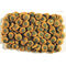 Tetra Pleco Spirulina Wafers
