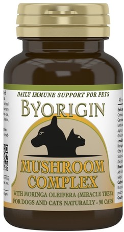 ByOrigin immunerősítő gomba kapszula 5 féle gyógygombával és Moringával