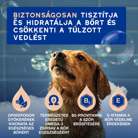 Douxo Spa vedléscsökkentő sampon kutyáknak