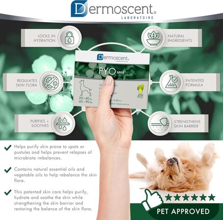Dermoscent PYOspot kutyáknak