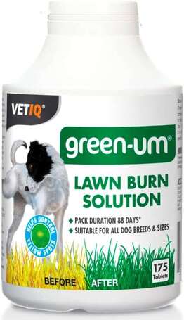 Vetiq Green-UM tabletta a zöld pázsitért