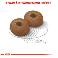 Royal Canin Maxi Ageing 8+ | Nagytestű idős kutya száraz táp #4