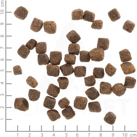 Wolfsblut Deep Glade Puppy gímszarvas édesburgonyával