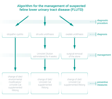 Vet Expert UrinoVet Dilution Cat kapszula
