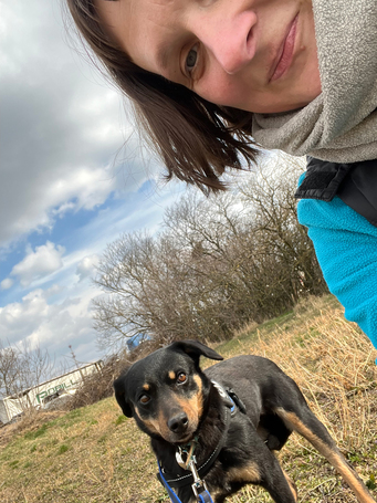 Gizi, 6 éves, 48 cm magas, szuka