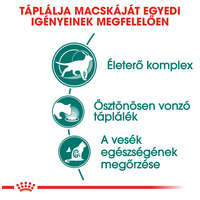 Royal Canin Instinctive 7+ Gravy - Idősödő macska szószos nedves táp #3