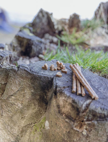 Trixie Insect Sticks rovarfehérjés jutalomfalat kutyáknak