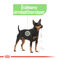 Royal Canin Digestive Care - Nedves táp érzékeny emésztésű felnőtt kutyák részére
