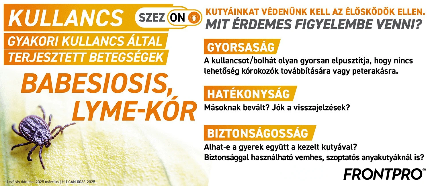 Frontpro információk