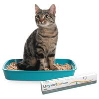 DRN Uryvet Cat paszta #2