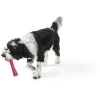 West Paw Seaflex Drifty - Csontot imitáló rágóka #17