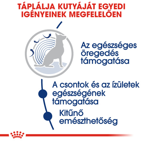 Royal Canin Maxi Ageing 8+ | Nagytestű idős kutya száraz táp
