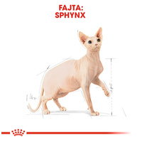 Royal Canin Sphynx Adult - Szfinx felnőtt macska száraz táp #2