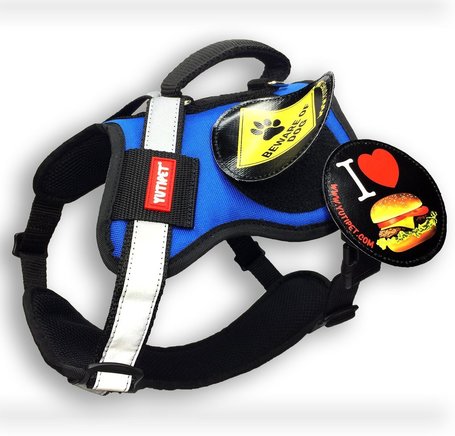 Yutipet RnD párnázott biztonsági kutyahám (Kék)