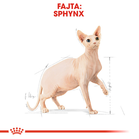 Royal Canin Sphynx Adult - Szfinx felnőtt macska száraz táp