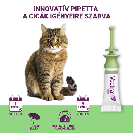 Vectra Felis bolhák elleni spot on macskáknak