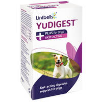 Lintbells YuDIGEST Plus l Táplálékkiegészítő hasmenésre és gyomorproblémákra