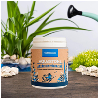 Greenman AquaStone élőflórás akváriumi vízkezelő természetes kőzet hordozón #2
