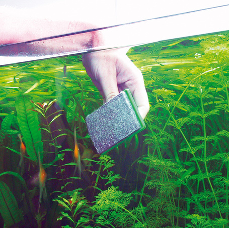 JBL Blanki tisztító szivacs