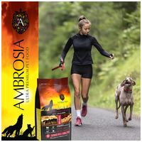 Ambrosia Dog Adult GF Beef & Fresh Salmon #12