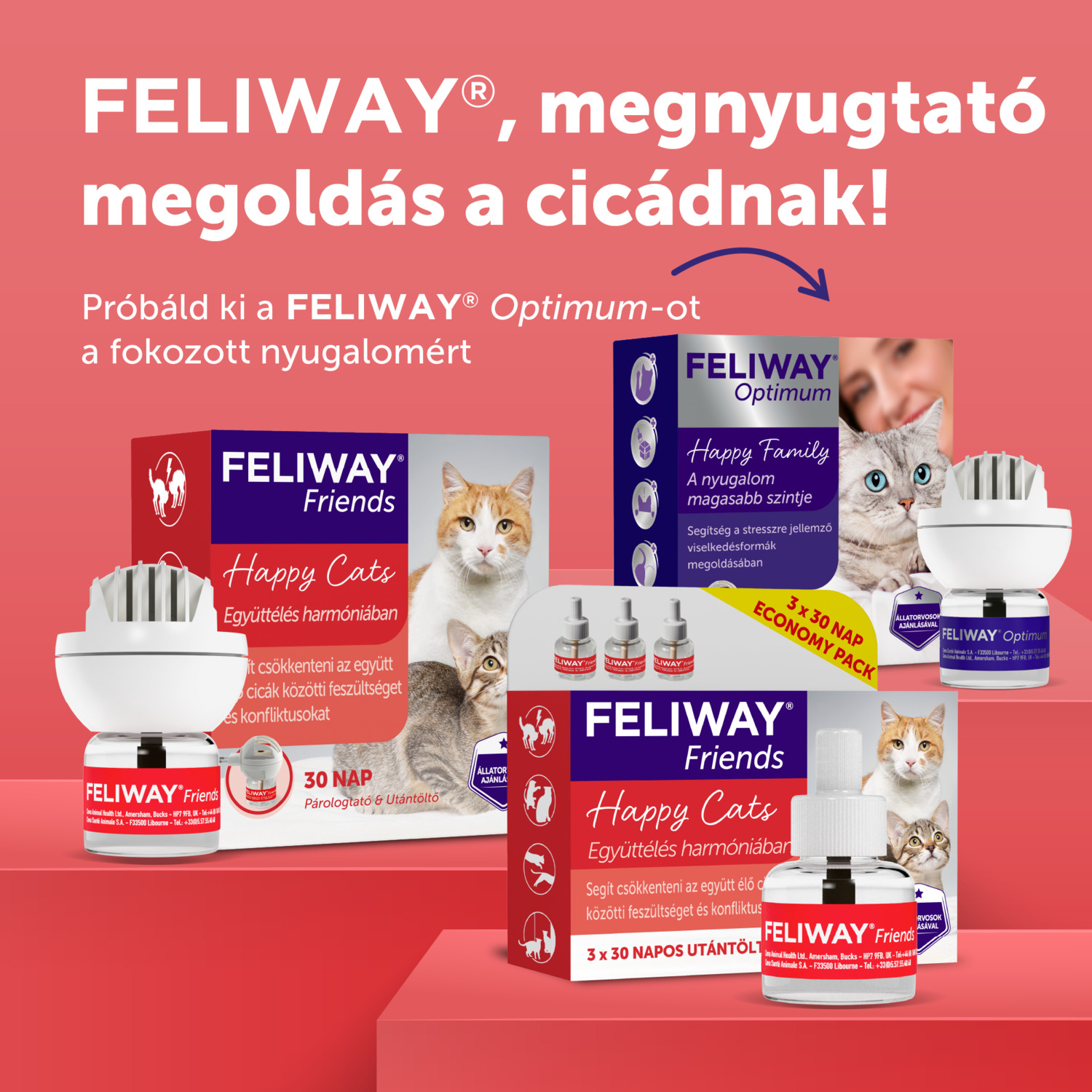 Feliway Friends nyugtató hatású párologtató macskáknak