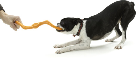 West Paw Bumi - S alakú huza-vona játék