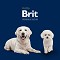 Brit Premium Light