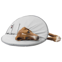 Szivacsos védőgallér kutyáknak #3